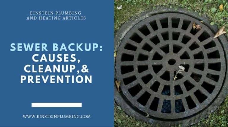 Sewer Backup causes and prevention