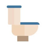 clogged toilet