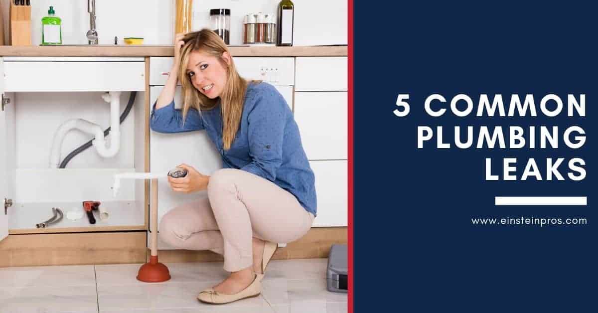 5 Common Plumbing Leaks | Einstein Pros