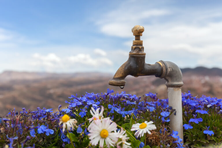 A faucet surrounded by flowers in spring