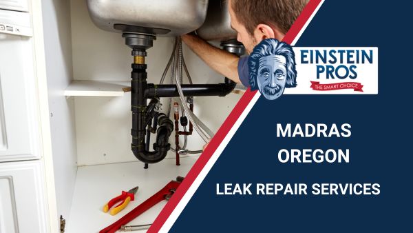 Madras Leak Repair Service