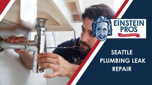 Plumbing Leak Repair